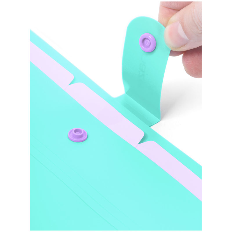 Папка 5 отделений Berlingo "Haze", А4, 600мкм, на кнопке, мятная, софт-тач