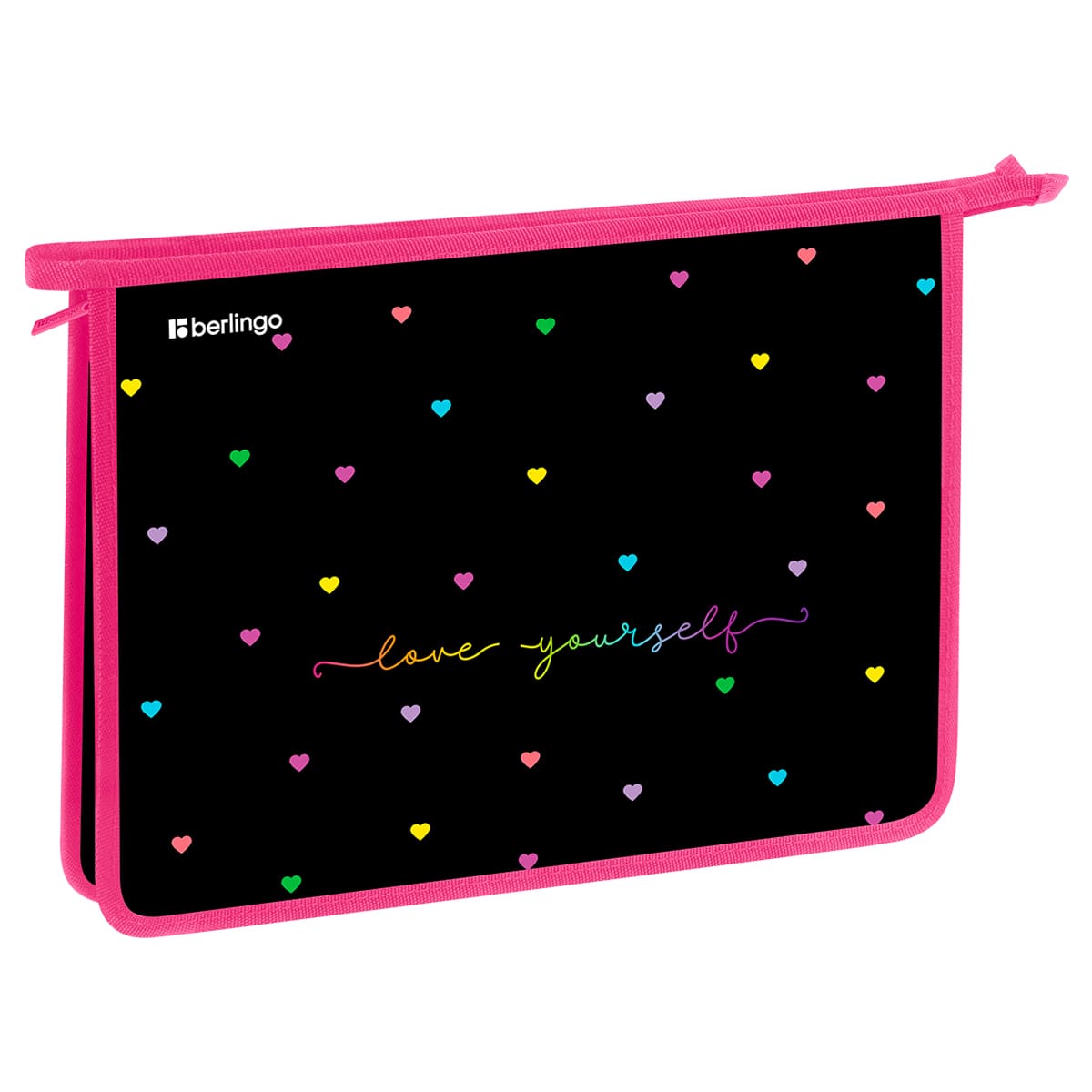 Папка для тетрадей 1 отделение, А4 Berlingo "Love Yourself", 340*245*40 мм, пластик, на молнии