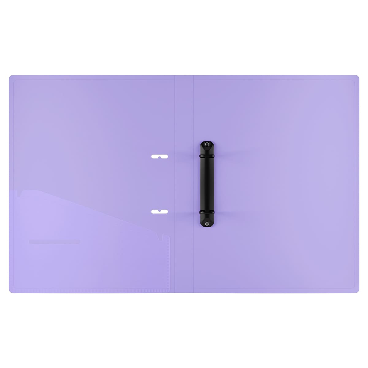 Папка на 2 кольцах Berlingo "Haze" А4, 24мм, 600мкм, D-кольца, с внутр. карманом, мятная, софт-тач