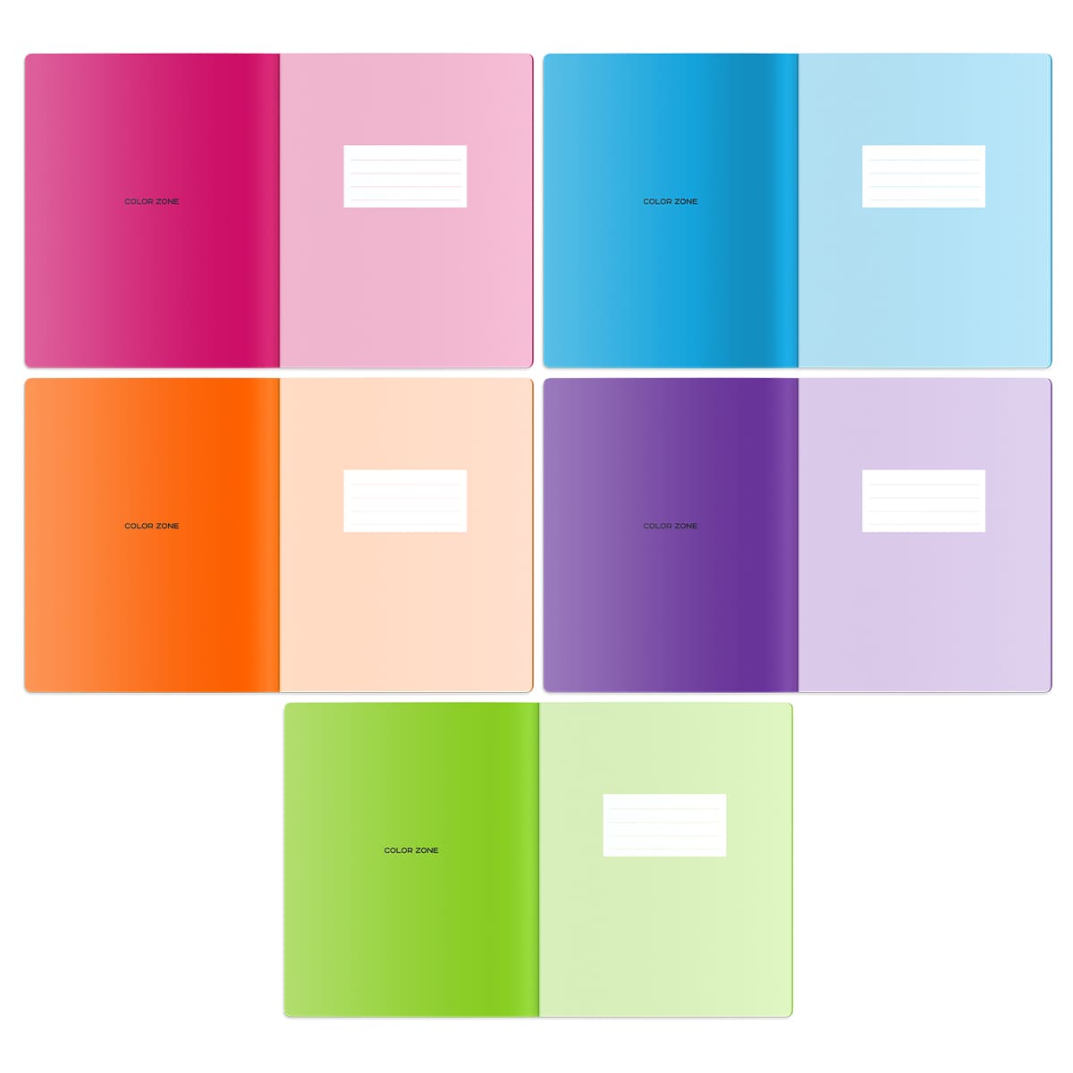 Тетрадь 48л., А5, линия Berlingo "Color Zone", 80г/м2, пластиковая обложка, ассорти
