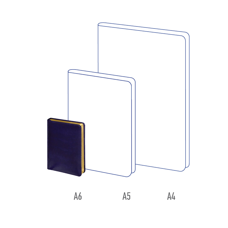 Ежедневник недатир. А6, 160л., кожзам, Berlingo "xGold", зол. срез, фиолетовый