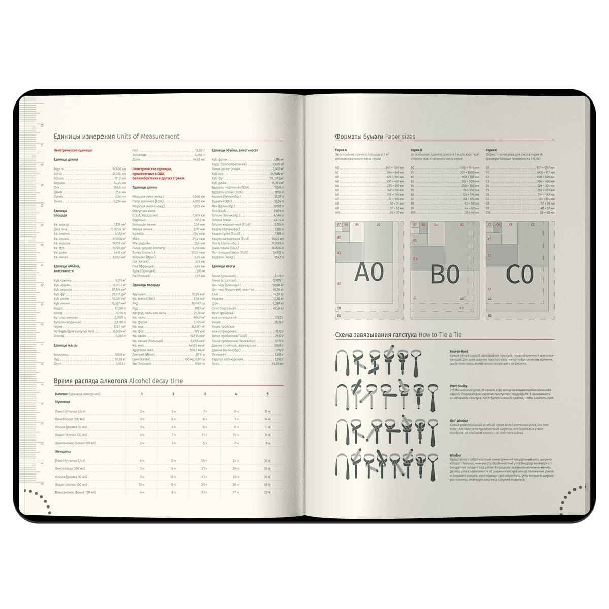 Ежедневник датированный 2026г., А4-(В5), 184л., кожзам, Berlingo "xGold", зол. срез, бордовый