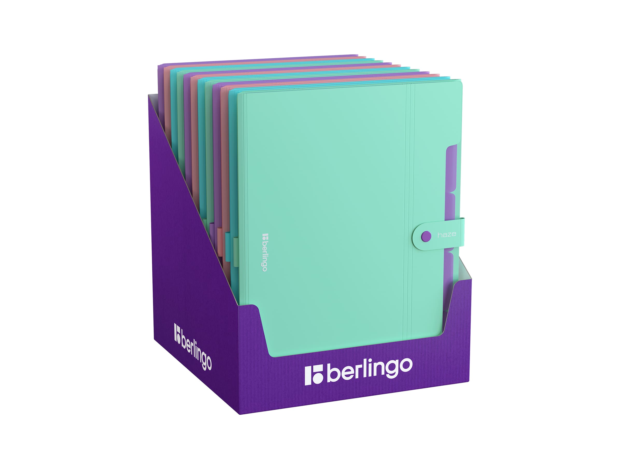 Папка 5 отделений Berlingo "Haze", А4, 600мкм, на кнопке, ассорти, софт-тач