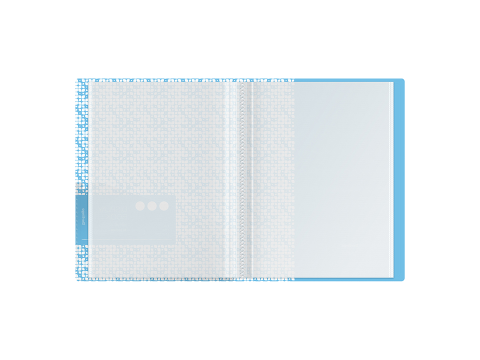Папка с 10 вкладышами Berlingo "Starlight S", 17мм, 600мкм, голубая, с внутр. карманом, с рисунком