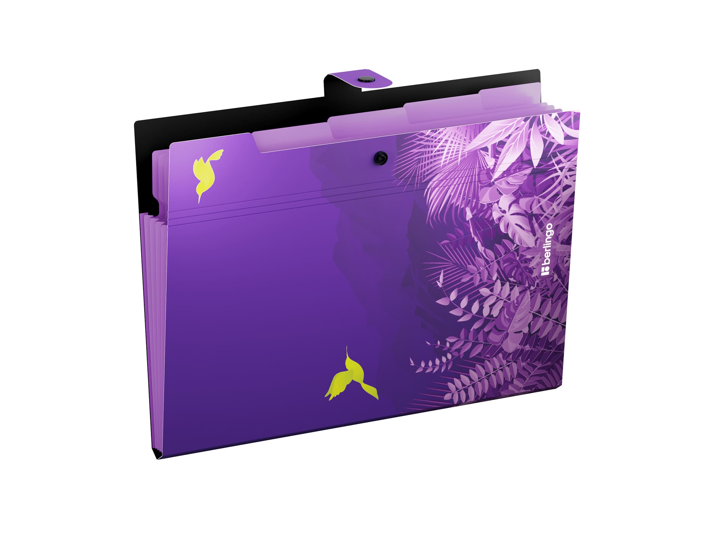 Папка 5 отделений Berlingo "Flower Art", А4, 600мкм, на кнопке, с рисунком