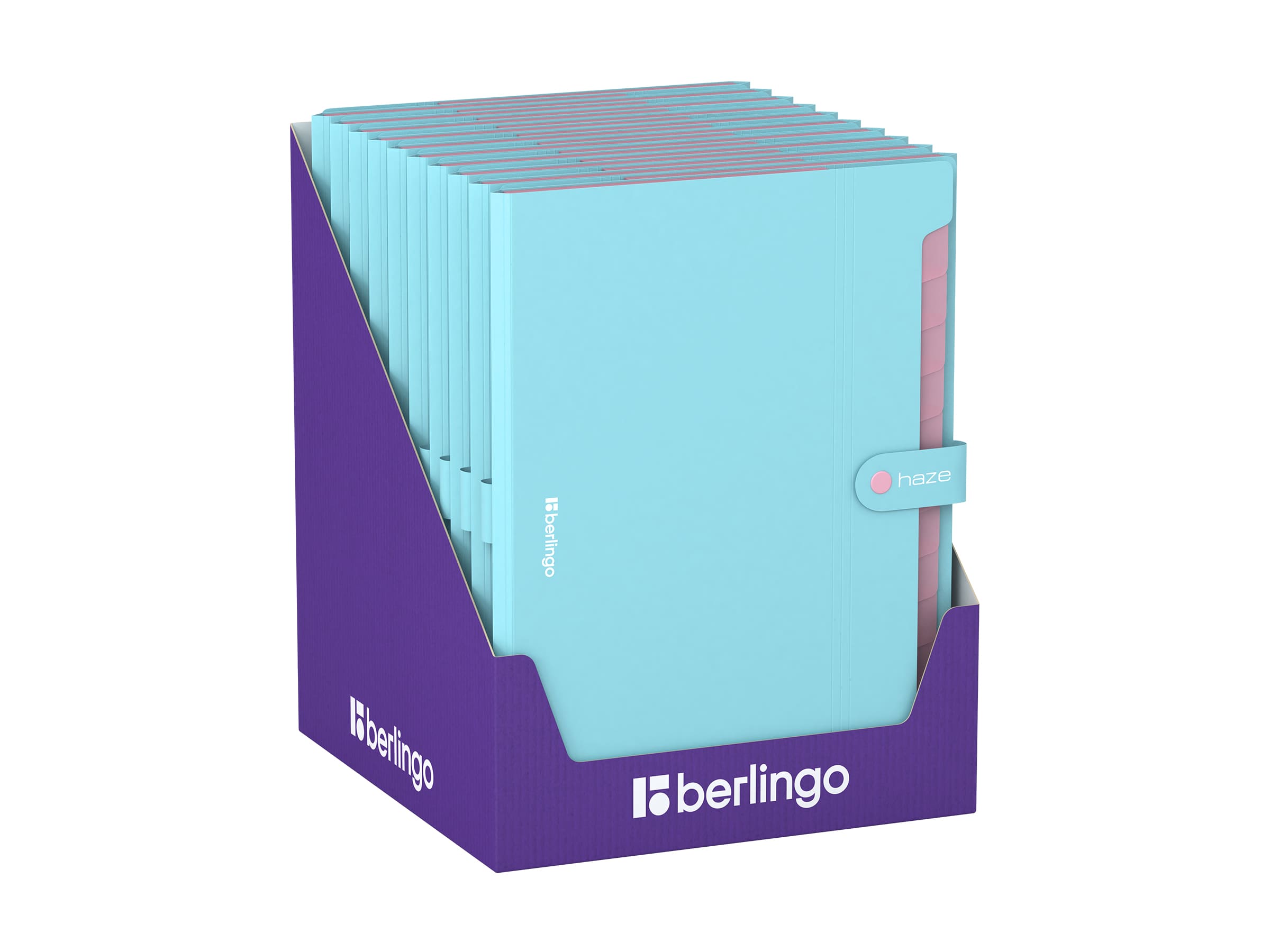 Папка 12 отделений Berlingo "Haze", А4, 600мкм, на кнопке, голубая