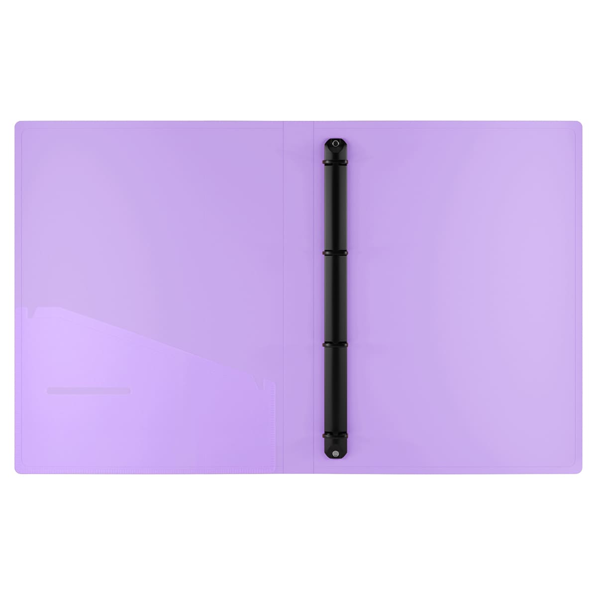 Папка на 4 кольцах Berlingo "Haze" А4, 24мм, 600мкм, D-кольца, с внутр. карманом, мятная, софт-тач