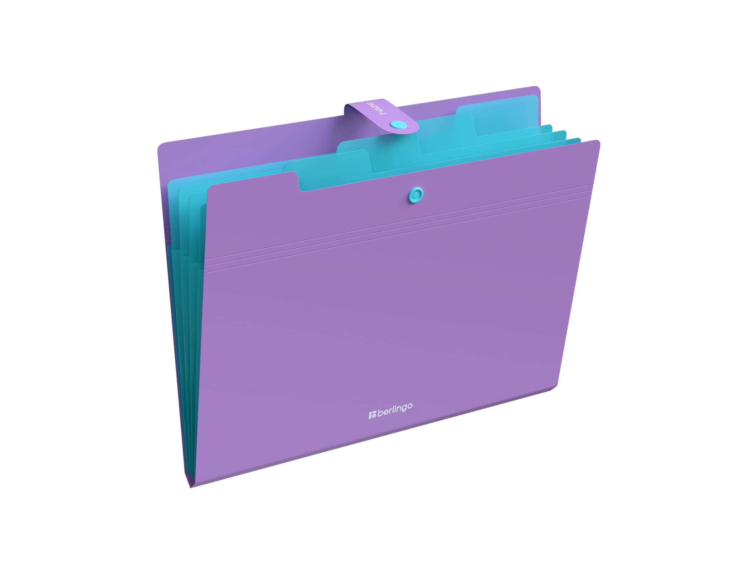 Папка 5 отделений Berlingo "Haze", А4, 600мкм, на кнопке, ассорти, софт-тач