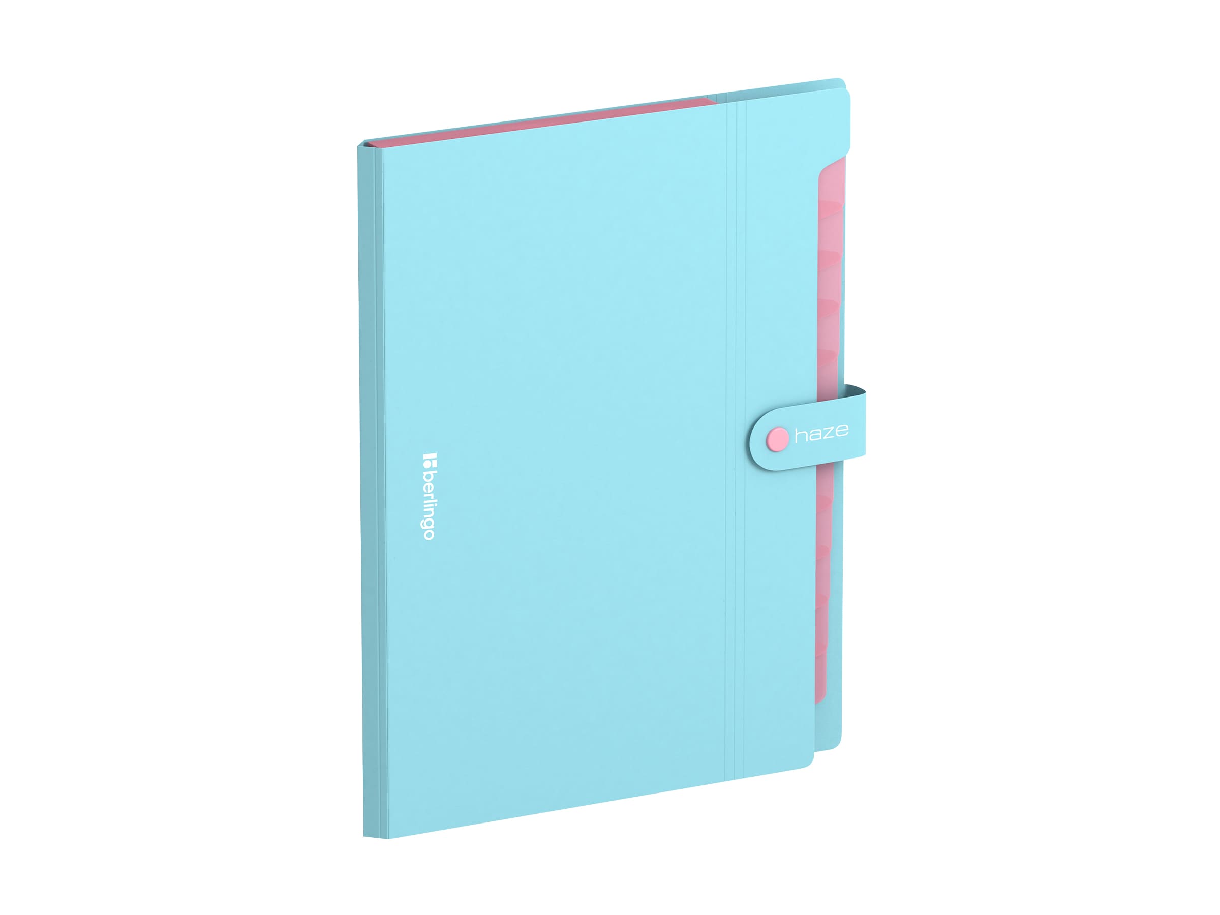 Папка 12 отделений Berlingo "Haze", А4, 600мкм, на кнопке, голубая