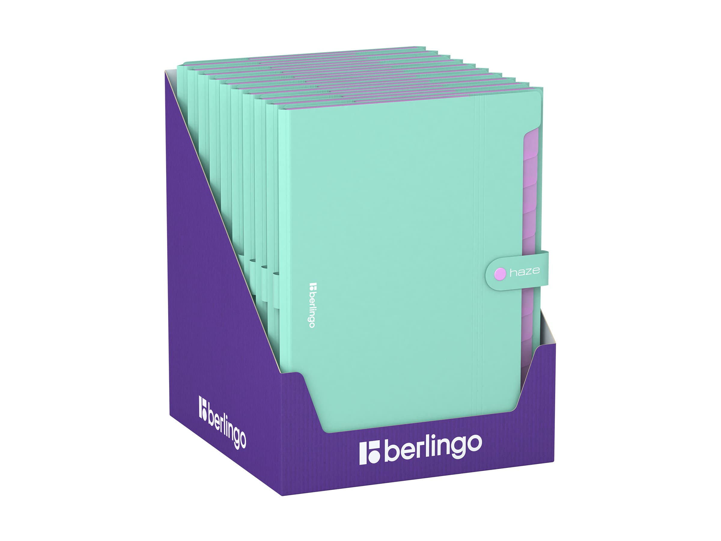 Папка 12 отделений Berlingo "Haze", А4, 600мкм, на кнопке, мятная