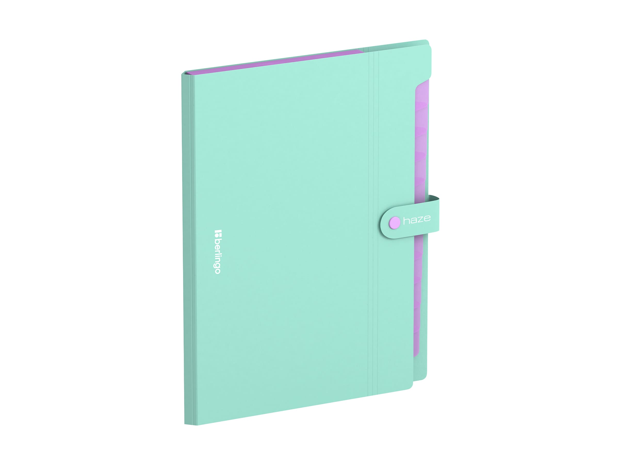 Папка 12 отделений Berlingo "Haze", А4, 600мкм, на кнопке, мятная